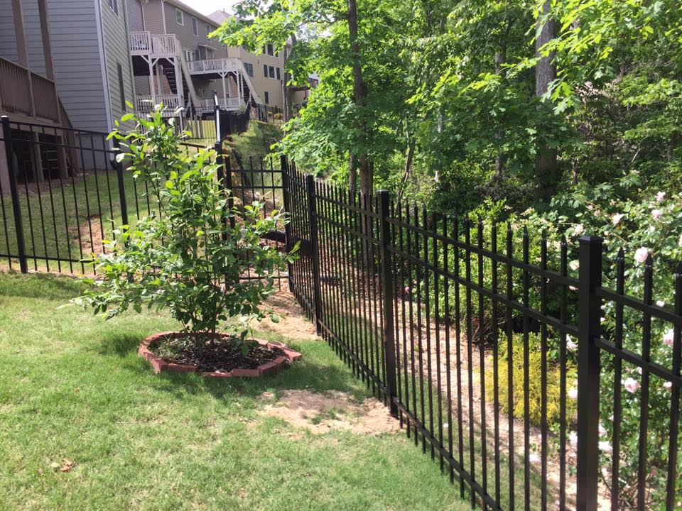 505836944_3229020887246158_1510033004433502625_n