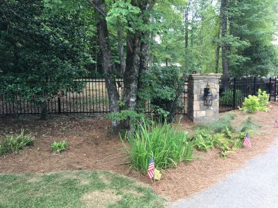 Photo Jul 26 2019, 1 10 50 PM