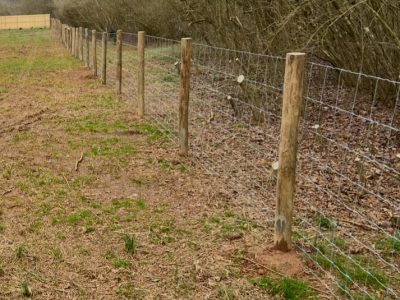 Photo Oct 28 2025, 9 31 25 AM (6)